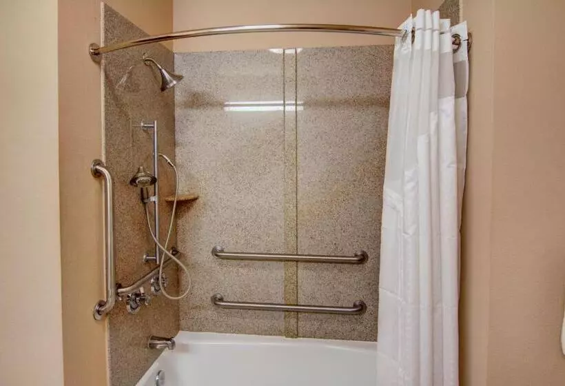 Standard-invahuone King-vuode, Holiday Inn Express Hotel & Suites Paris, An Ihg