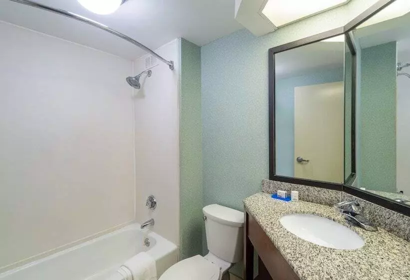 ２ダブルベッドのスタンダードルーム, Holiday Inn Express Forsyth, An Ihg