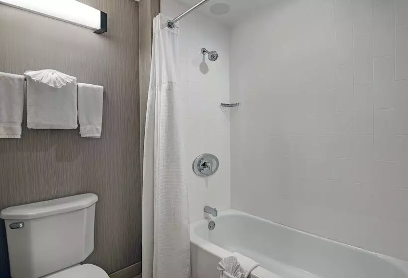 スイート, Homewood Suites By Hilton Chicago Lincolnshire