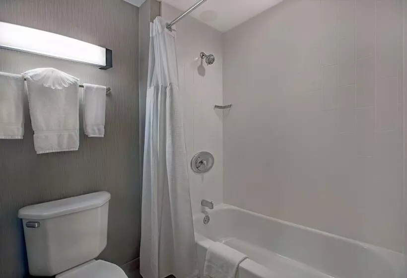 スイート, Homewood Suites By Hilton Chicago Lincolnshire