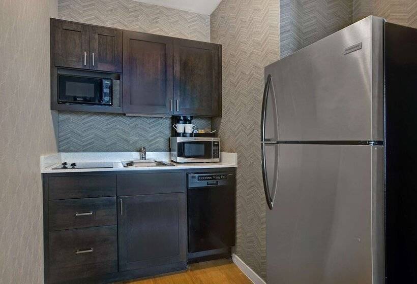 带2个卧室的套房, Homewood Suites By Hilton Chicago Lincolnshire