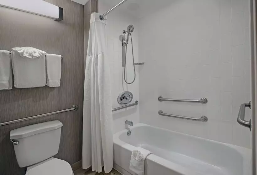 身障者適用スイートルーム, Homewood Suites By Hilton Chicago Lincolnshire