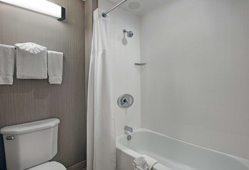 适合残疾人士使用的套间, Homewood Suites By Hilton Chicago Lincolnshire