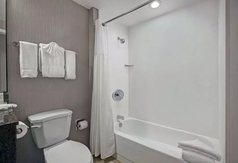 スイート, Homewood Suites By Hilton Chicago Lincolnshire