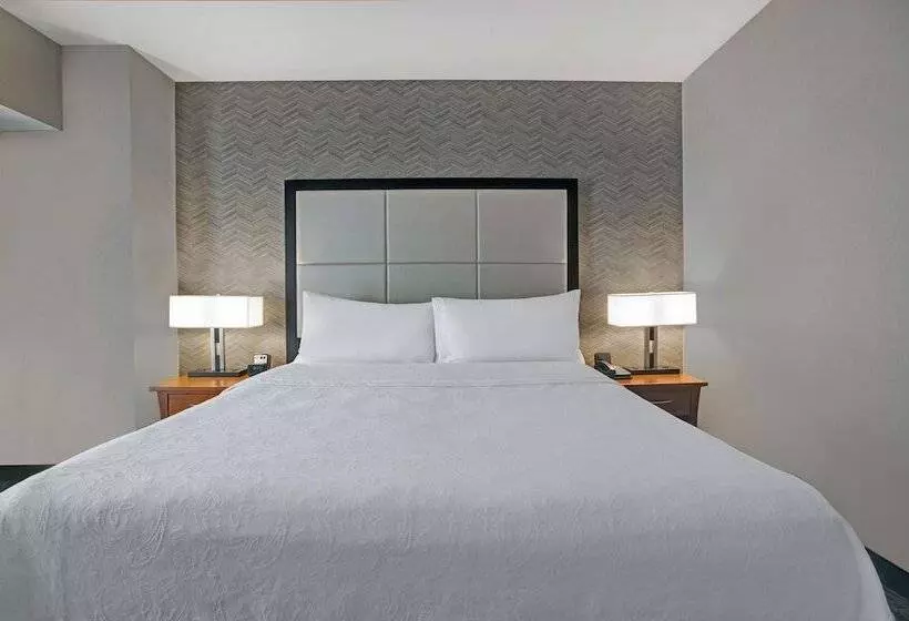 身障者適用スイートルーム, Homewood Suites By Hilton Chicago Lincolnshire
