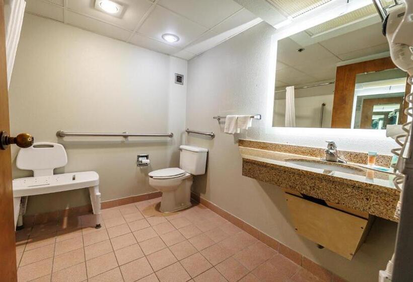 Номер Superior Кровать Кинг, New Victorian Inn & Suites Omaha