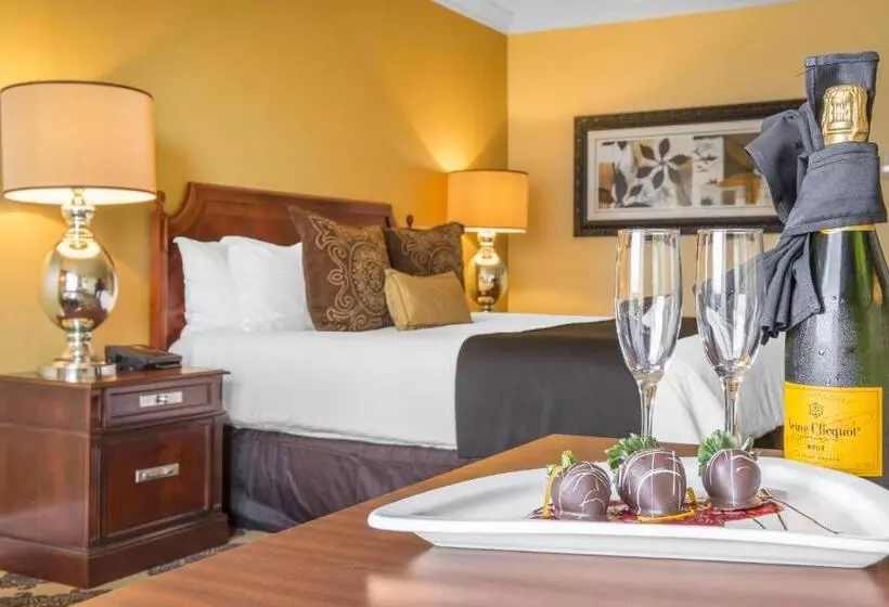 Premium-huone, Omni Houston