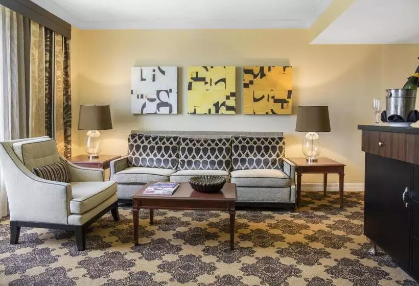 سوئیت اجرایی با تخت کینگ, Omni Houston