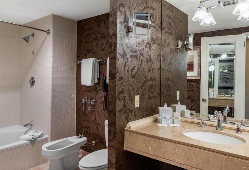 חדר דחוקס עם מיטת קינג, Omni Houston