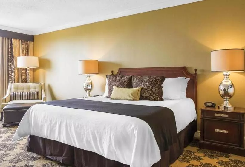 اتاق لوکس با تخت بزرگ, Omni Houston