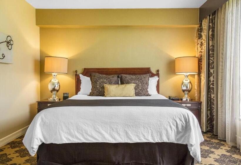 חדר דחוקס עם מיטת קינג, Omni Houston