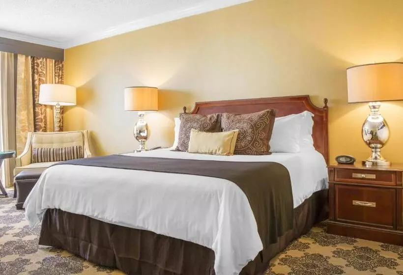 اتاق لوکس با تخت بزرگ, Omni Houston