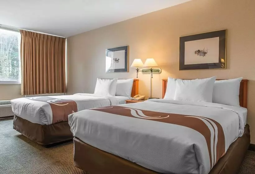 ２ダブルベッドのスタンダードルーム, Quality Inn