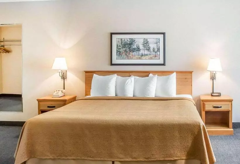 اتاق استاندارد با تخت بزرگ, Quality Inn