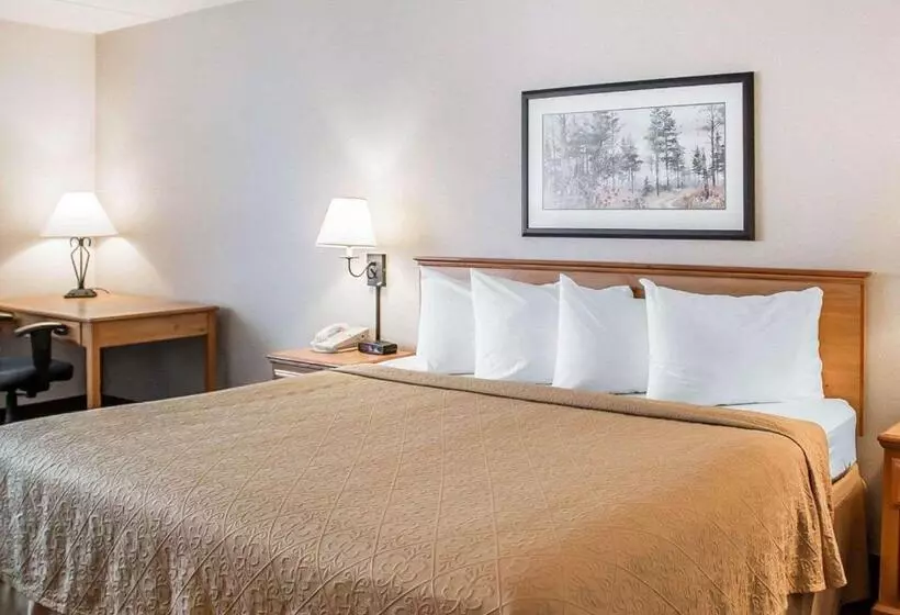 اتاق استاندارد با تخت بزرگ, Quality Inn