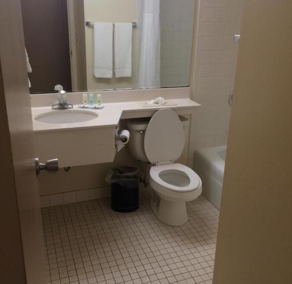 غرفة قياسية سرير كينج, Quality Inn