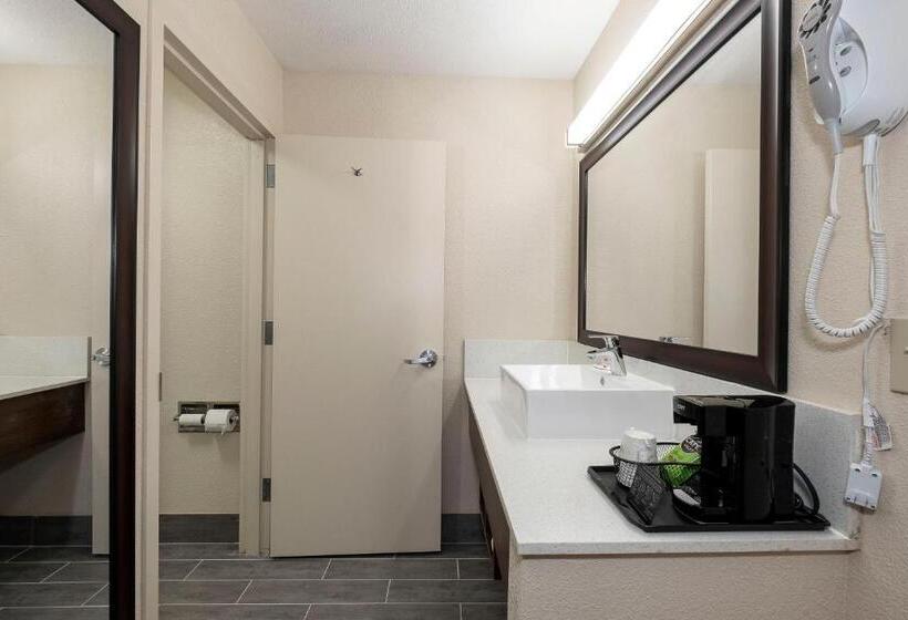 Quarto Superior Cama King, Red Roof Inn Freehold