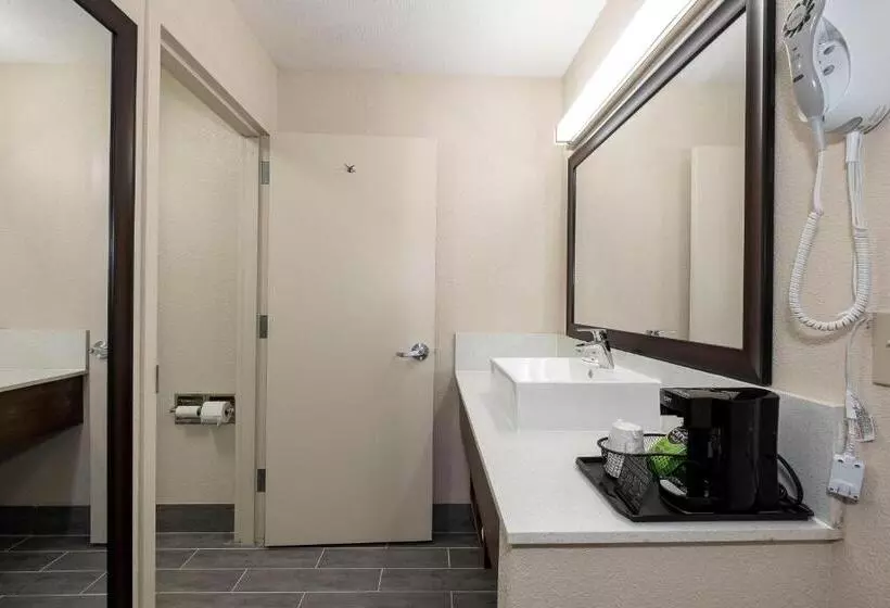 キングサイズベッドのスーペリアルーム, Red Roof Inn Freehold