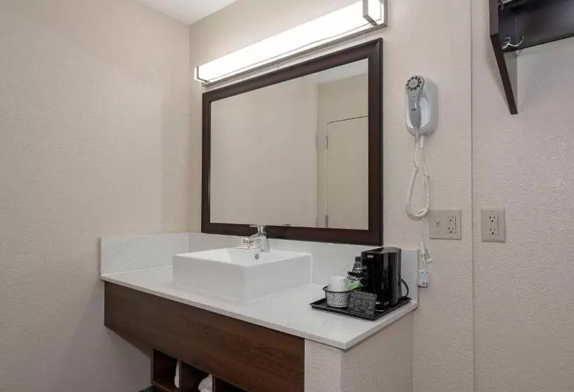 キングサイズベッドのスーペリアルーム, Red Roof Inn Freehold