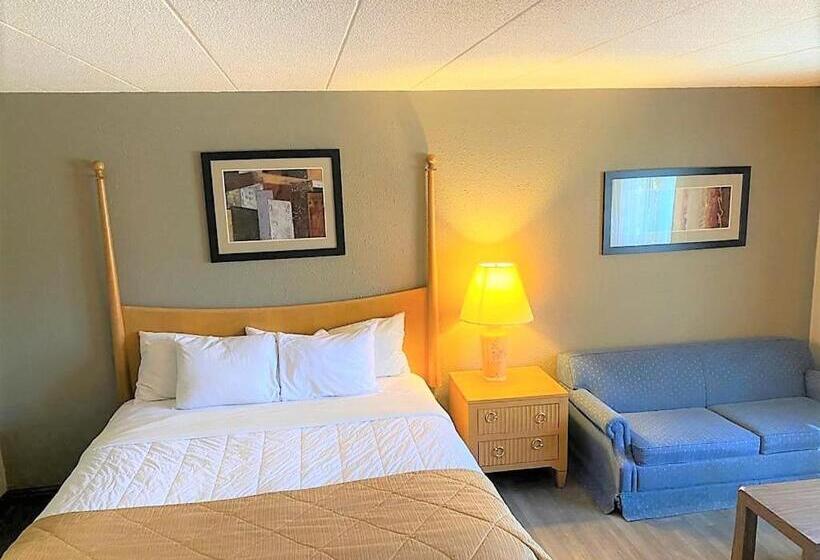 身障者適用シングルルーム, Veranda Dubois