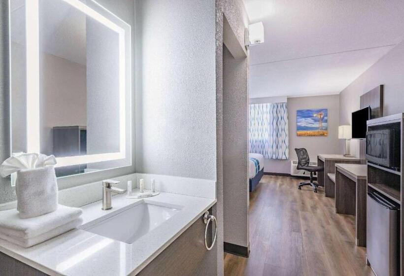 Номер Стандарт Кровать Кинг Адаптированный для Инвалидов, Wingate By Wyndham Wichita Airport