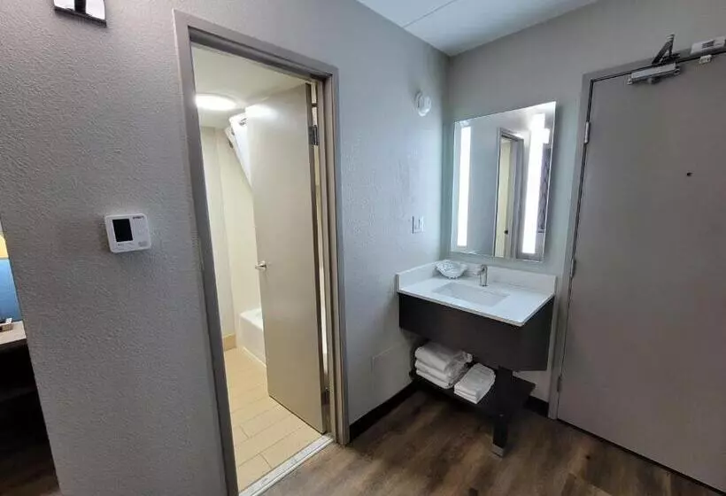 اتاق استاندارد با تخت بزرگ, Wingate By Wyndham Wichita Airport