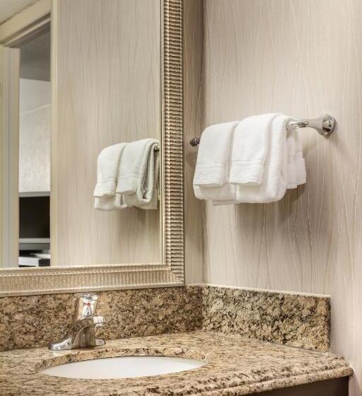 豪华房间, Holiday Inn Resort Galveston On The Beach, An Ihg