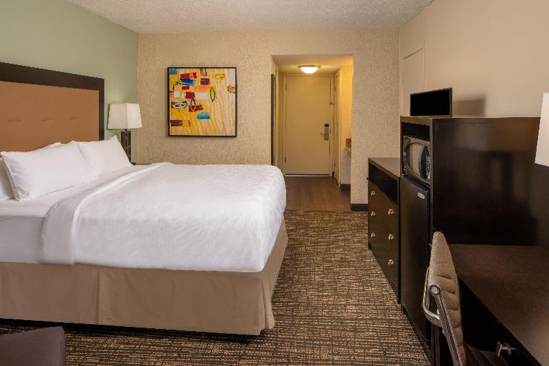 适合残疾人士使用的带超级大床的标准间, Holiday Inn Resort Galveston On The Beach, An Ihg