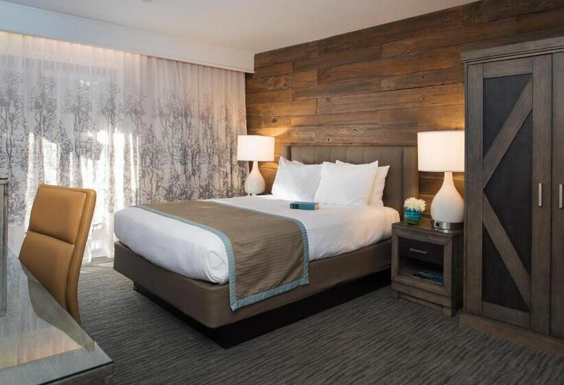 Номер Стандарт Индивидуальный, Azure