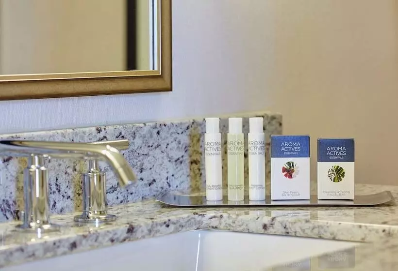 اتاق استاندارد با 2 تخت دوبل, Doubletree By Hilton Washington Dc   Crystal City