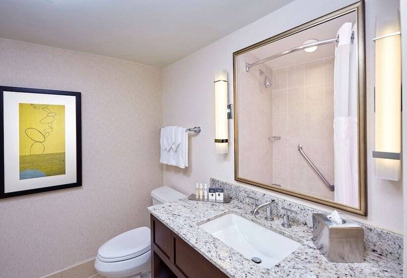 带2个双人床的标准工作室, Doubletree By Hilton Washington Dc   Crystal City