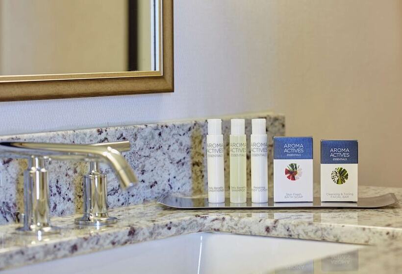 带大床的标准间, Doubletree By Hilton Washington Dc   Crystal City