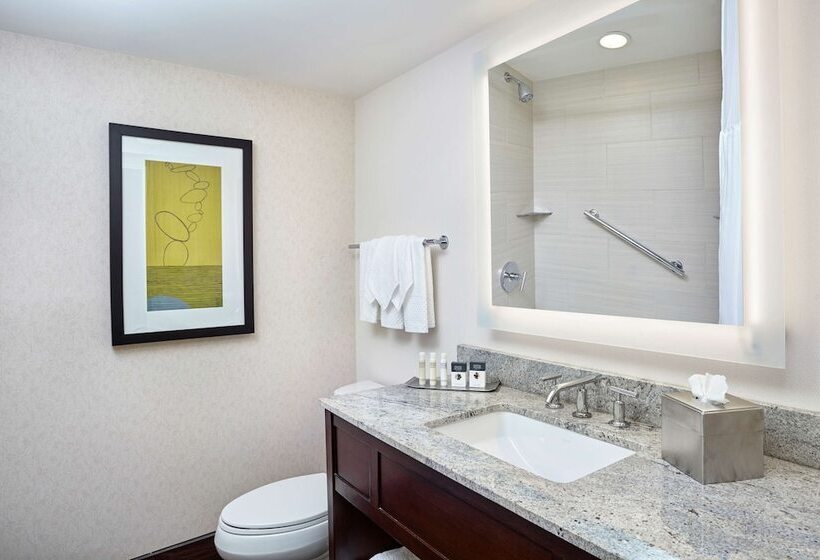 스탠다드 룸 킹사이즈 침대, Doubletree By Hilton Washington Dc   Crystal City