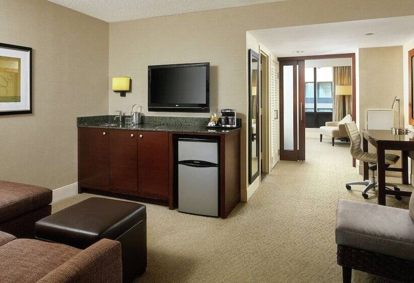带大床的标准间, Doubletree By Hilton Washington Dc   Crystal City