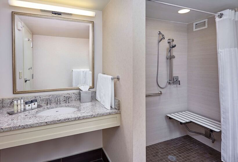 스탠다드 룸 킹사이즈 침대, Doubletree By Hilton Washington Dc   Crystal City