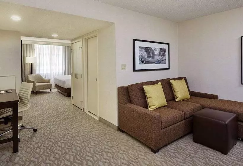 سوییت جونیور, Doubletree By Hilton Washington Dc   Crystal City