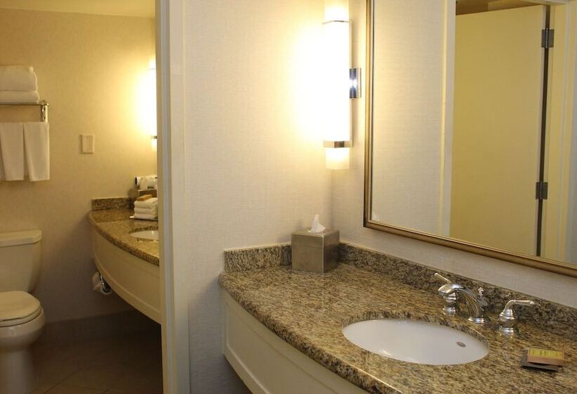 스탠다드 룸 더블 침대 2개, Doubletree By Hilton Washington Dc   Crystal City