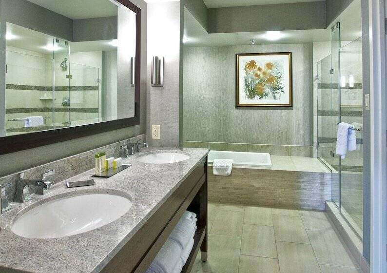 带大床的标准间, Doubletree By Hilton Washington Dc   Crystal City