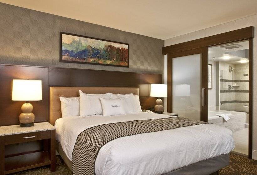 带大床的标准间, Doubletree By Hilton Washington Dc   Crystal City