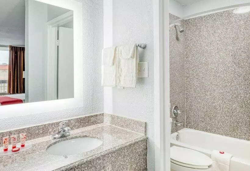 Chambre Standard 2 Lits Doubles, Elev8