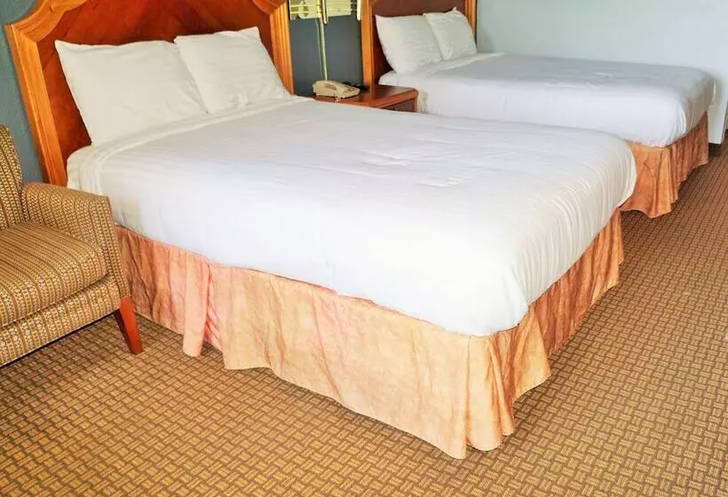 Chambre Standard 2 Lits Doubles, Elev8