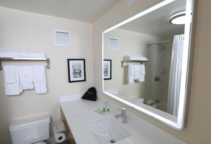 اتاق اجرایی با تخت بزرگ, Holiday Inn Chicago North Shore, An Ihg