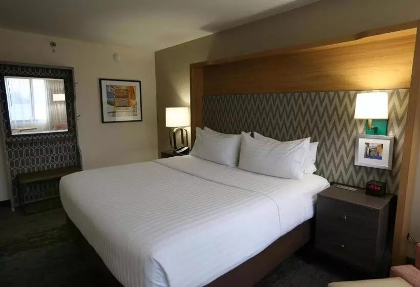 キングサイズベッドのスタンダードルーム, Holiday Inn Chicago North Shore, An Ihg