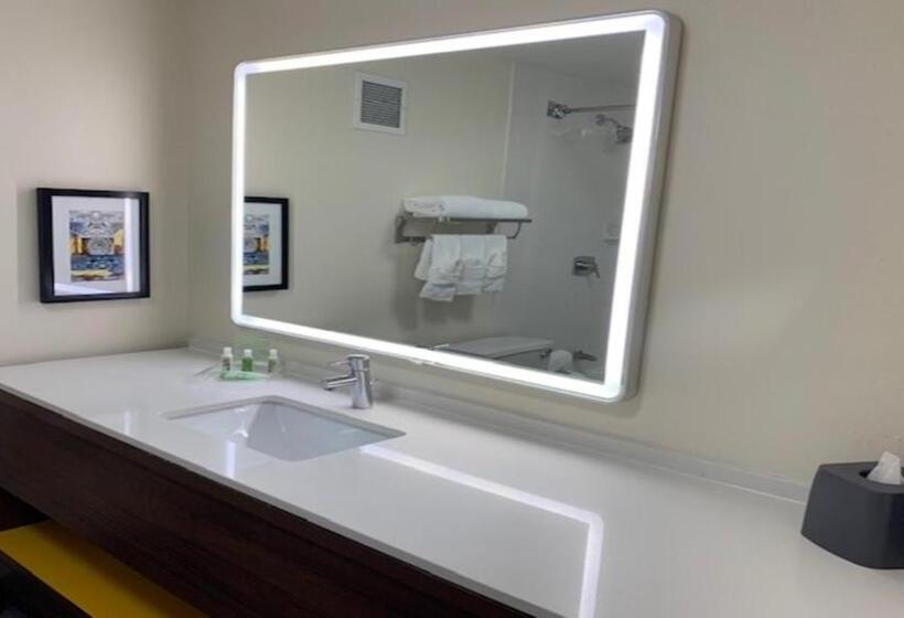 اتاق استاندارد با تخت بزرگ, Holiday Inn Chicago North Shore, An Ihg