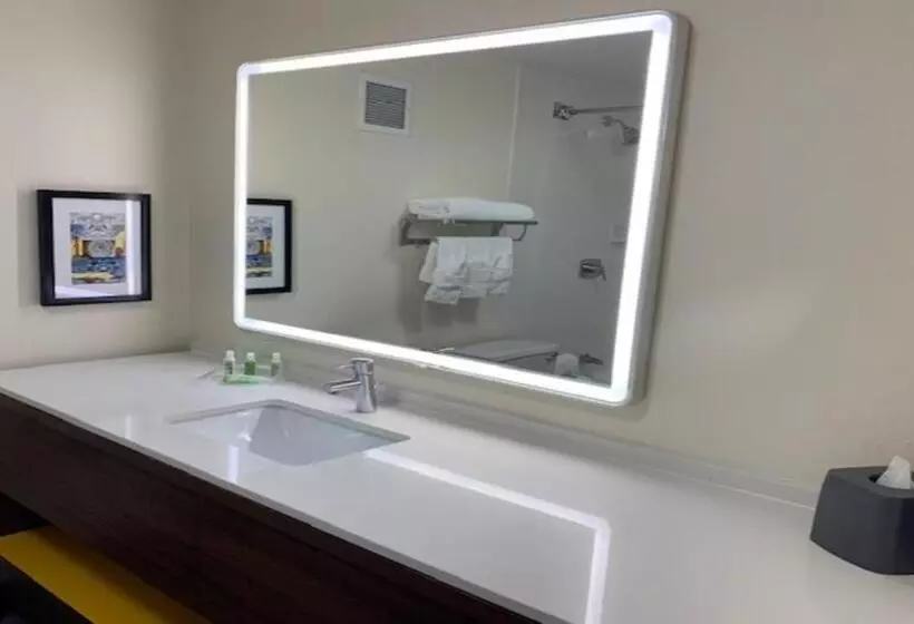 キングサイズベッドのスタンダードルーム, Holiday Inn Chicago North Shore, An Ihg