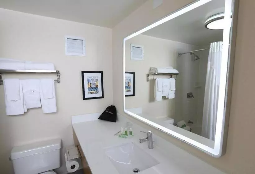 キングサイズベッドのスタンダードルーム, Holiday Inn Chicago North Shore, An Ihg