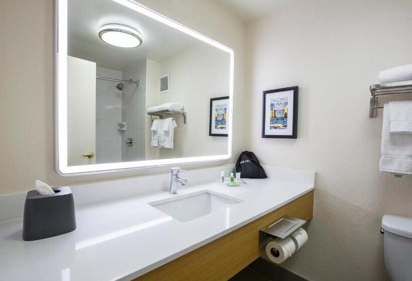 اتاق استاندارد با 2 تخت دوبل, Holiday Inn Chicago North Shore, An Ihg