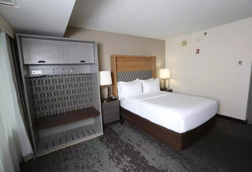 身障者適用キングサイズベッドルーム, Holiday Inn Chicago North Shore, An Ihg