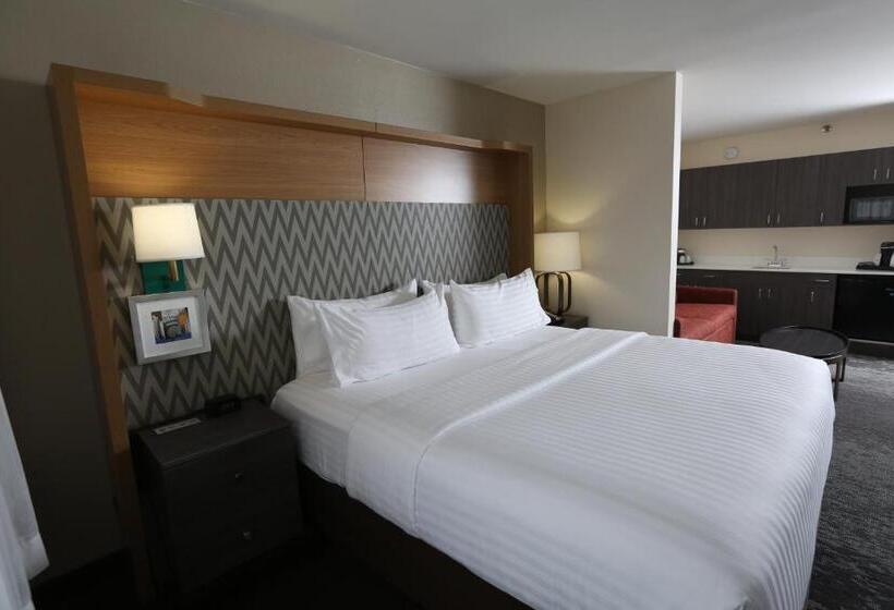 استودیو استاندارد با تخت کینگ, Holiday Inn Chicago North Shore, An Ihg