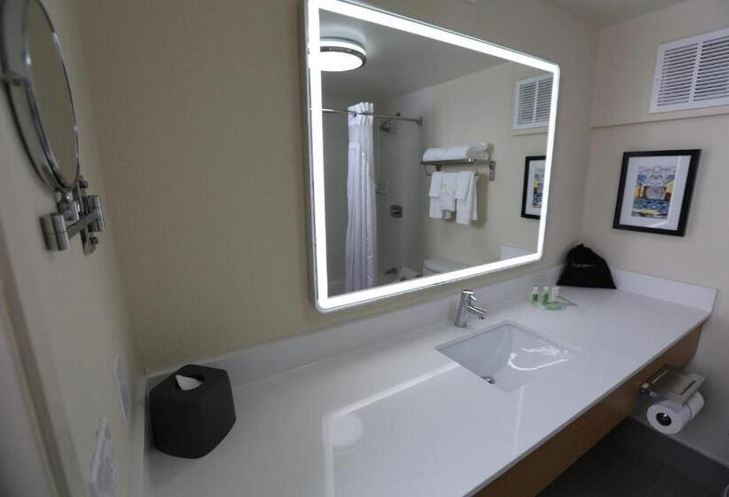 Номер Стандарт, Holiday Inn Chicago North Shore, An Ihg